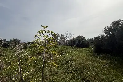 Agricolo in vendita, Via Barbagallo, Aci Castello