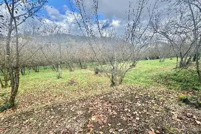 Agricolo in vendita, Via Belle Donne, Cesinali