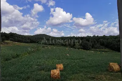 Casa in vendita, località Santa Colomba, Monteriggioni