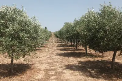 Casa in vendita, Strada Bi'e Mesu, Selargius