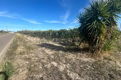Agricolo in vendita, Strada Provinciale 62, Cerignola