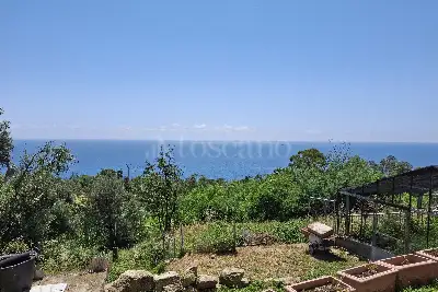 Rustico in vendita, Strada Romana, Varazze