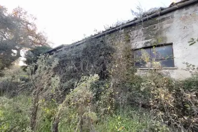 Edificabile Industriale in vendita, Orte Loc. Caldare, Orte