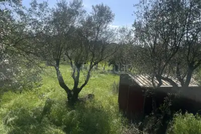 Agricolo in vendita, Strada Cassia Sud, Viterbo