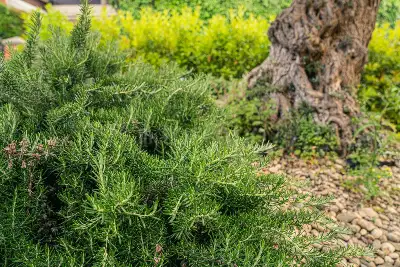 Villa in vendita, Via San Tommaso D'Aquino, Trecastagni