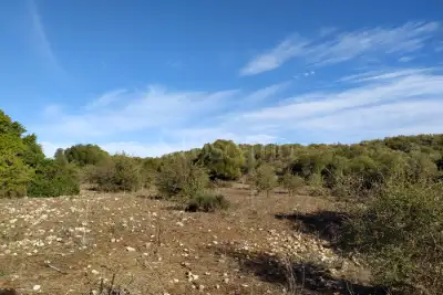 Agricolo in vendita, Noto, Noto