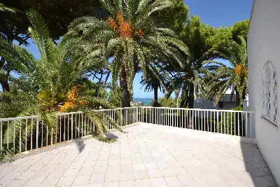 Casa Indipendente in affitto, Lungomare G. Marconi, Santa Marinella