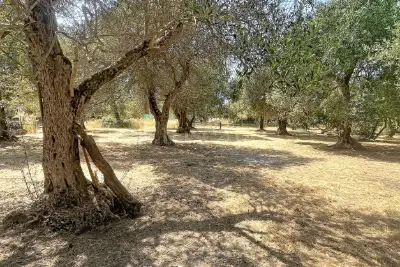 Casa Indipendente in vendita, Via Buddi Buddi 133, Sassari