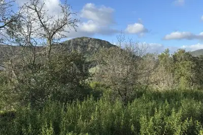 Edificabile Residenziali in vendita, Loiri porto san Paolo, La castagna, via del mandorlo, Loiri Porto San Paolo