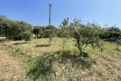 Agricolo in vendita, Piano Torre Spartà, Messina