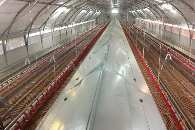 Capannone in vendita, Arlena di Castro, Arlena di Castro