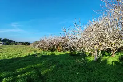 Capannone in vendita, SS16, Brindisi