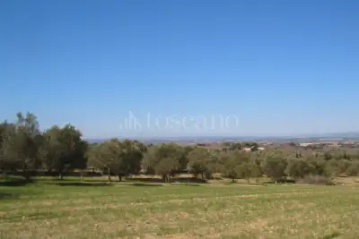Casale in vendita, Contrada Triona, Noto
