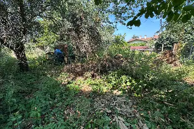 Villa in vendita, via marino, Albano Laziale