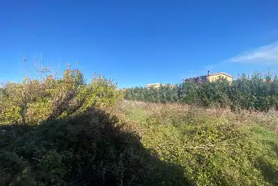 Agricolo in vendita, Via della storta, Roma