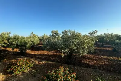 Villa in vendita, CONTRADA RAGANA PURGATORIO, Sciacca