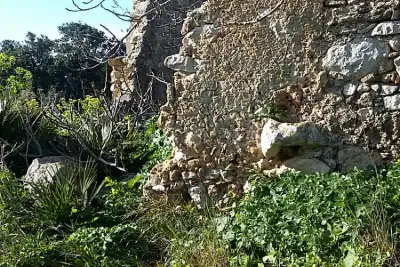 Agricolo in vendita, Contrada Martognella, Valderice