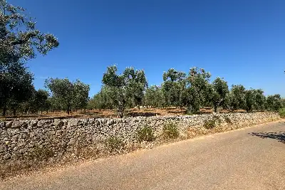 Villa in vendita, contrada Santa Caterina Grottone, Ostuni