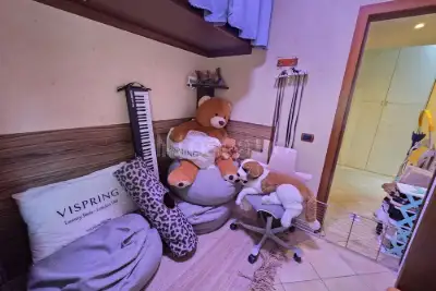 Casa in vendita, Via Gian Piero Bellori, Roma