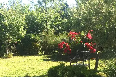 Casa Indipendente in vendita, Corleto Perticara, Corleto Perticara