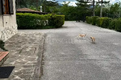 Villa Bifamiliare in affitto, Via Pratoranno, Scurcola Marsicana