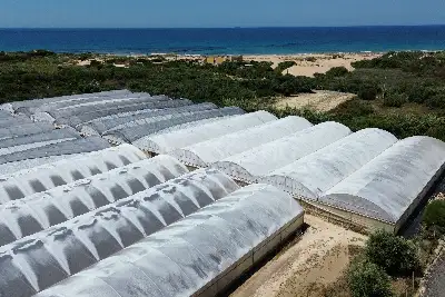 Edificabile Residenziali in vendita, Portopalo C P Carratois, Portopalo di Capo Passero