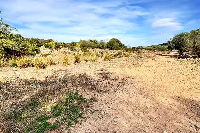 Agricolo in vendita, Trudda , Loiri Porto San Paolo