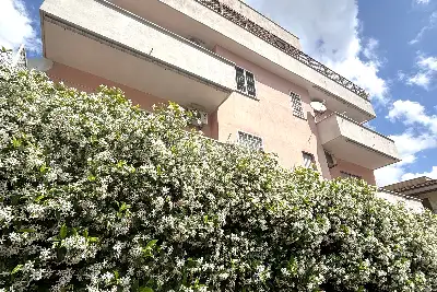 Attico in vendita, Via Fabiano Landi , Roma