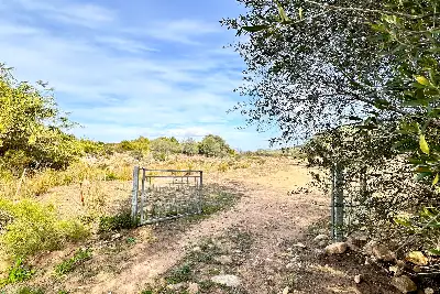 Agricolo in vendita, Trudda , Loiri Porto San Paolo