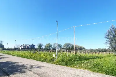 Edificabile Residenziali in vendita, Contrada Sterpari, Rocca San Giovanni, Rocca San Giovanni