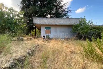 Casa Indipendente in vendita, Itala, Itala