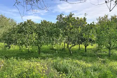 Casa Indipendente in vendita, Strada Provinciale 25, Sorso