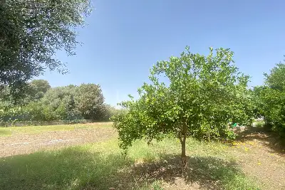 Villa in vendita, Via San Giovanni Bosco, Siracusa
