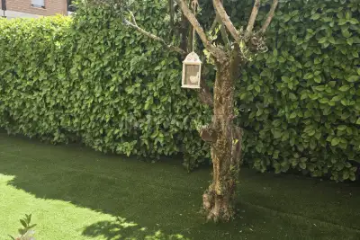 Villa Plurifamiliare in vendita, Via Molise, Avezzano