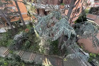 Attico in vendita, Via Isidoro del Lungo, Roma