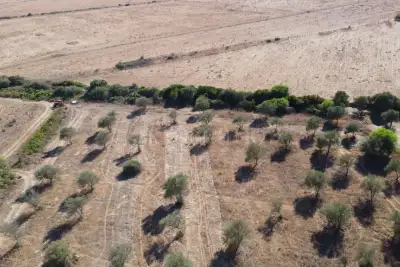 Agricolo in vendita, Sassari, Sassari