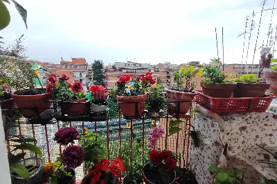 Casa in vendita, Via Alessandro Pieri, Roma