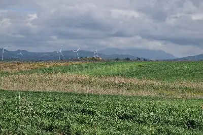 Agricolo in vendita, Trapani C/da Fittasi, Trapani