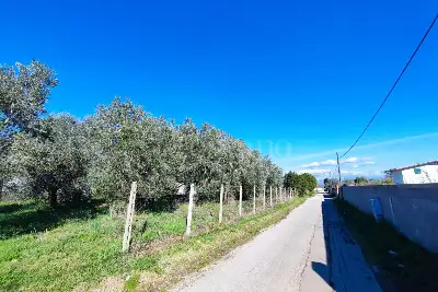 Agricolo in vendita, Via Tropea, Aprilia