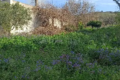Casa Indipendente in vendita, Via Piano Neve, Buseto Palizzolo