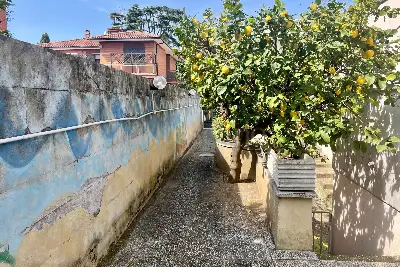 Villa Plurifamiliare in vendita, Via del Fosso dell'Acqua Mariana, Roma