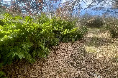 Agricolo in vendita, Strada Valle Cerasola, Viterbo
