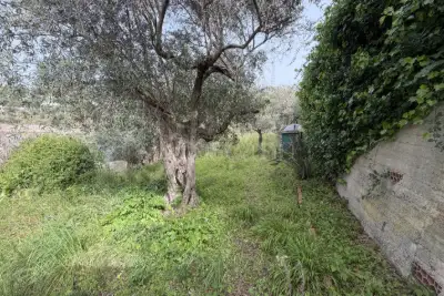 Casa Indipendente in vendita, Contrada Musarra, Messina