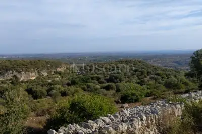 Agricolo in vendita, Noto, Noto