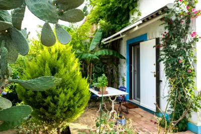 Villa Plurifamiliare in vendita, Via Domenico de Santis, Cerveteri