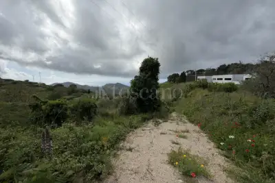 Agricolo in vendita, Via San Cosimo, Messina