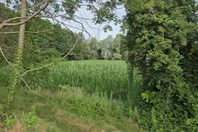 Agricolo in vendita, Via Pioppette, Lurago d'Erba
