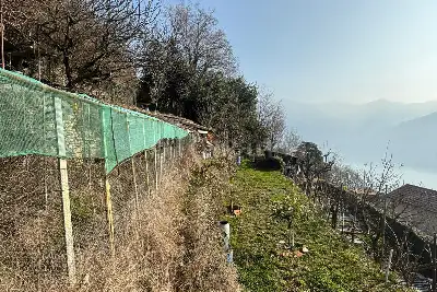 Agricolo in vendita, Via Giuseppe Bianchi, Moltrasio