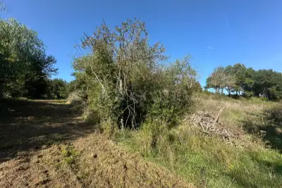 Greenfield for sale, Via Villa Verde, Fiumicino