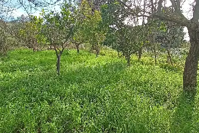 Casa Indipendente in vendita, Via Piano Neve, Buseto Palizzolo